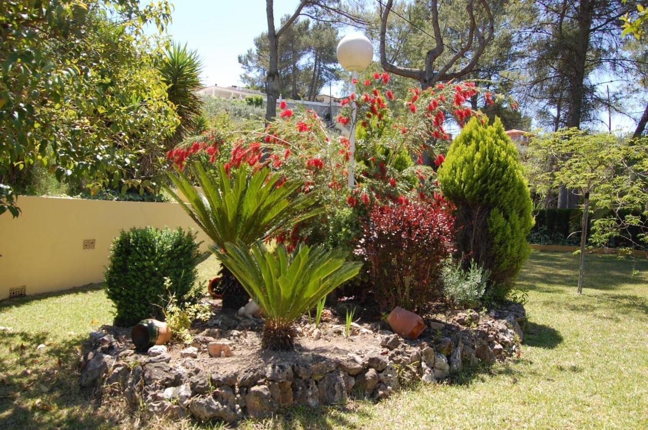Wonderful Villa, Heated Pool, Near Beautiful Town Alboy 외부 사진